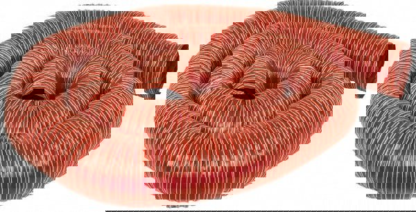 Vacuum Duct Hose: Fiberglass, 4